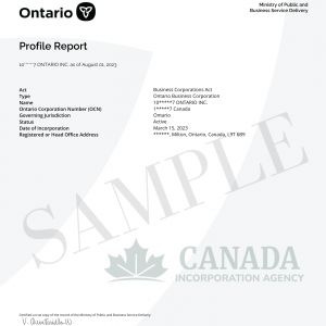 corporate profile report